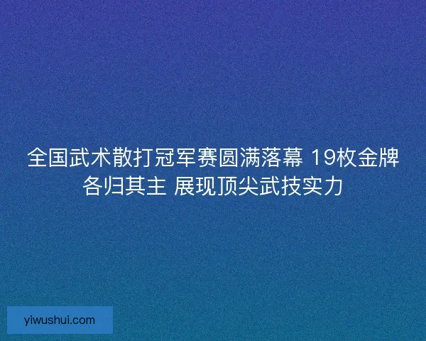全国武术散打冠军赛圆满落幕 19枚金牌各归其主 展现顶尖武技实力
