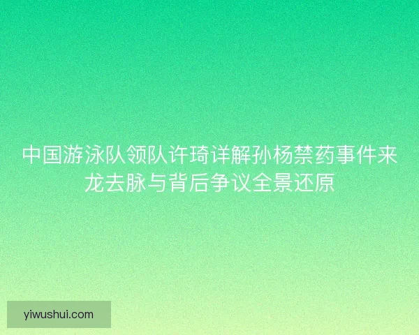中国游泳队领队许琦详解孙杨禁药事件来龙去脉与背后争议全景还原 中国游泳队领队许琦详解孙杨禁药事件来龙去脉与背后争议全景还原